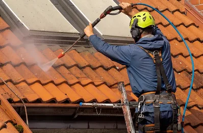 Démoussage et hydrofuge de toiture à Montagnole